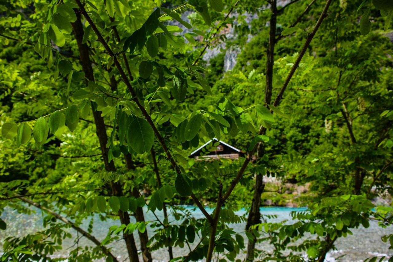 Hotel Eagles Land Moll' e Shoshit Zewnętrze zdjęcie