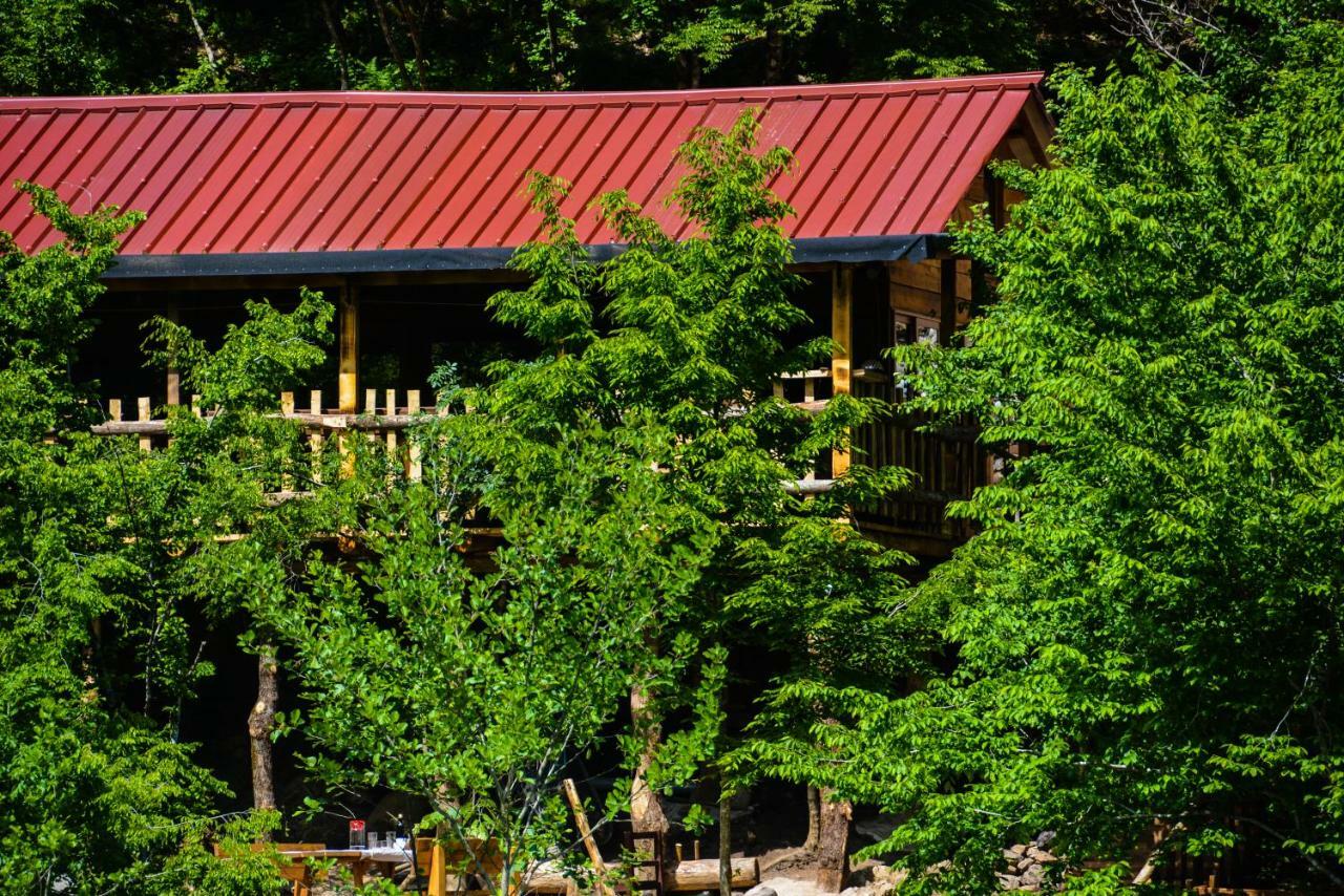 Hotel Eagles Land Moll' e Shoshit Zewnętrze zdjęcie